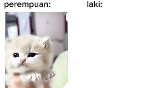Harus di bilang ganteng dulu baru mau makan ????????