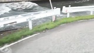 The Japan Earthquake