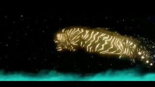 Wild Animals Of South Africa/African Wildlife
