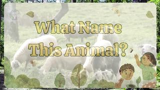 Learn Wild Animals, Horse,Cow,Cat,Dog,Sheep,Lion,Chicken, Cute Funny Animals