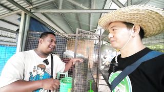 Kumikitang Kabuhayan ng Dominant CZ Breeder Farmer sa Cabatuan Isabela