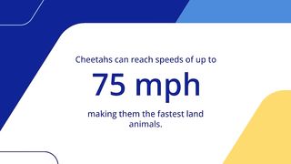 How Cheetahs Hunt at High Speeds