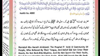اسلامی معلومات Like share follow 324