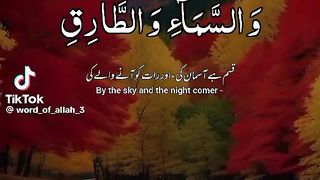 تلاوت قرآن کریم 6