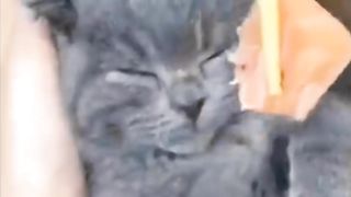 Wait for the end ????