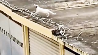 Wait for the end???????? 3