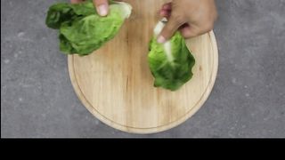Healthy Tortilla Wraps Recipes For Weight Loss