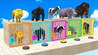 Long Slide Game With Elephant Gorilla Buffalo Hippopotamus Tiger - 3d Animal Game - Funny 3d Animals.