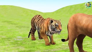 Paint Animals Gorilla Cow Tiger Lion Elephant Fountain Crossing Animal Game.