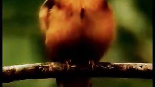 BEAUTIFUL RECITATION AND MULTIPLE CREATURE