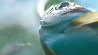 SUBHAN ALLAH 4