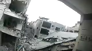 Like this viral video 2