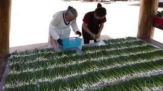 700 sold a day?! Amazing Pancake Master Grandma! Traditional Green Onion Pancakes