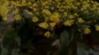 Parte 2, Letra da música; perfeição  Banda; legião Urbana.
