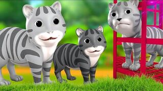 काली और सफेद बिल्ली - Black and White Cat Story _ Hindi Kahaniya Comedy Moral Stories JOJO TV.