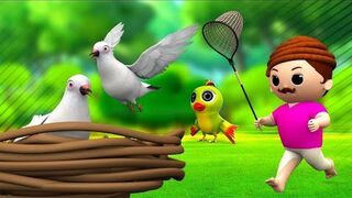 दो कबूतर और शिकारी - Two Pigeons and Hunter Story _ Hindi Kahaniya _ Hindi Moral Stories JOJO