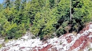 Snowfall on Jhika Gali Road Beautiful