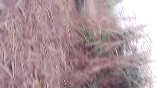 کماد کے باغ کی سیر اور سرسوں کے کھیت کی سیر