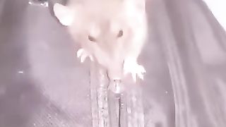 The intelligent mouse