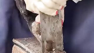 Hoof trimming instrument