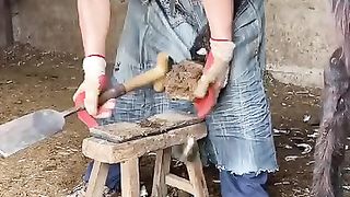 Hoof trimming of a