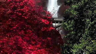 Amazing videos vol 213
