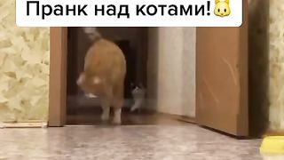 Приколи 675