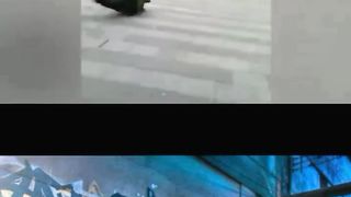 Ridiculous Incident vol 182
