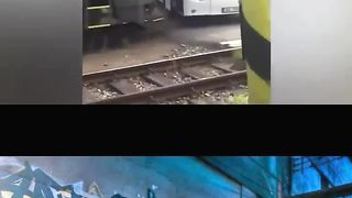 Ridiculous Incident vol 184