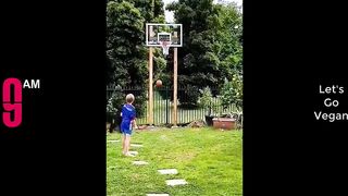 Try Not To Laugh Funny Videos - Funny Moments Of The Year Compilation ????????