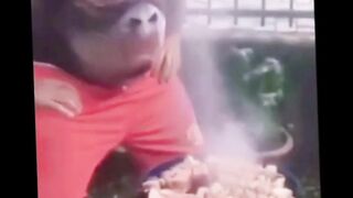 Try not to laugh #Shorts #Memes #Funny #Daily shorts #Daily memes