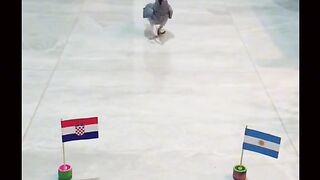 Win Croatia team beat Argentina and going to final