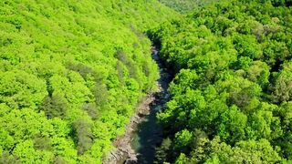 Drone Footage of Rocky River Surrounded by Trees