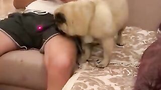 Funny memes compilation????