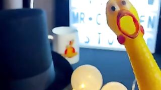 New Funny Sing Mr.Chicken