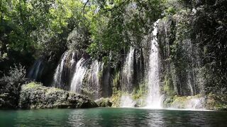 Beautifull forest and river