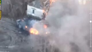 Ukrainian artillery lands direct hit on Russian armoured vehicles in Luhansk