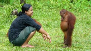 Funny Animal That Will Absolutely Brighten Up Your Day ????