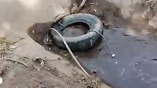 Amazing work