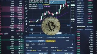 Криптовалюта для начинающих стелефна пополнить зароботать