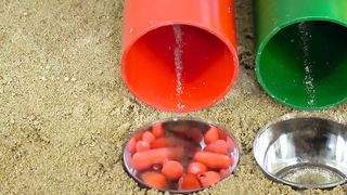 Learning children colors video with buskets