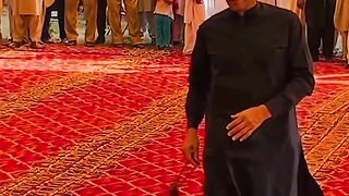 Khan spicel
