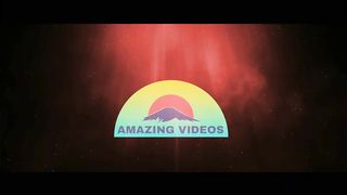 Wildlife Animals 4K
