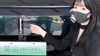 All New GreatWall WEY LanShan DHT PHEV 2023.?
