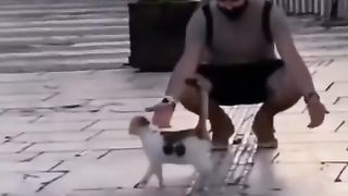 Funny action 52
