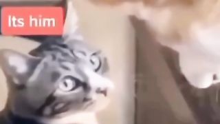 Funny action 53
