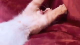 Funny action 55