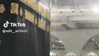 video 307