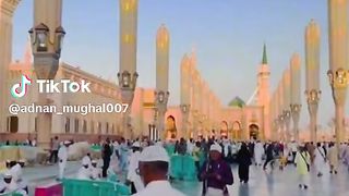 video 308