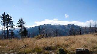 Videos 38